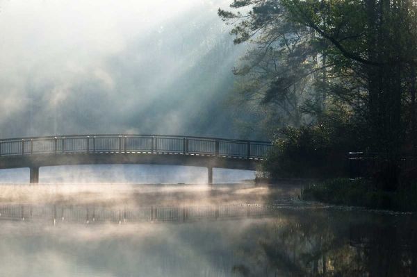 Georgia Sunlit mist on bridge over lake